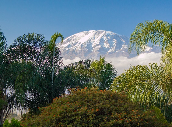 6 days Marangu route