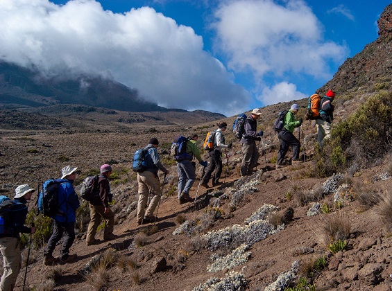 8 days Lemosho route