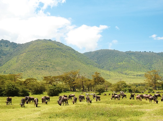 3 days Tanzania camping safari