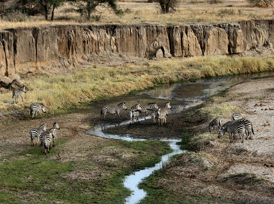 4 days Tanzania camping safari