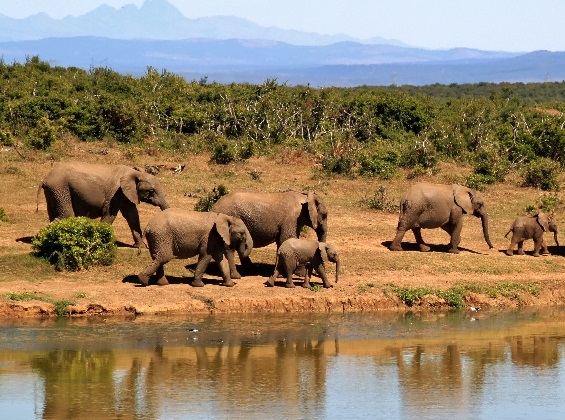 6 days Tanzania camping safari